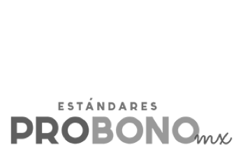 Pro Bono 1